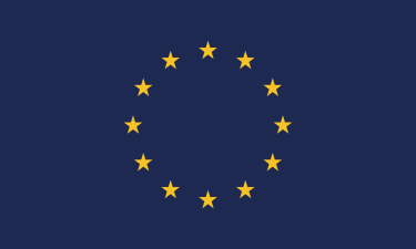 Regional Flag Flag